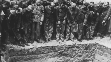 At the end of April 1945, in the Dachau concentration camp near Munich, over 30,000 people were barely clinging to life and the brutal SS guards. Time was fast running out for the prisoners as the war situation continued to deteriorate for Germany. The action had to be taken and taken fast, but who would take that action?