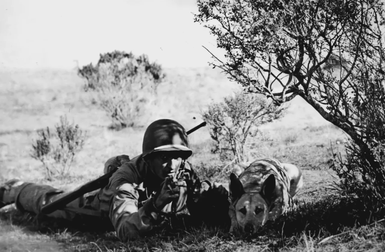 American soldier trains his scout dog